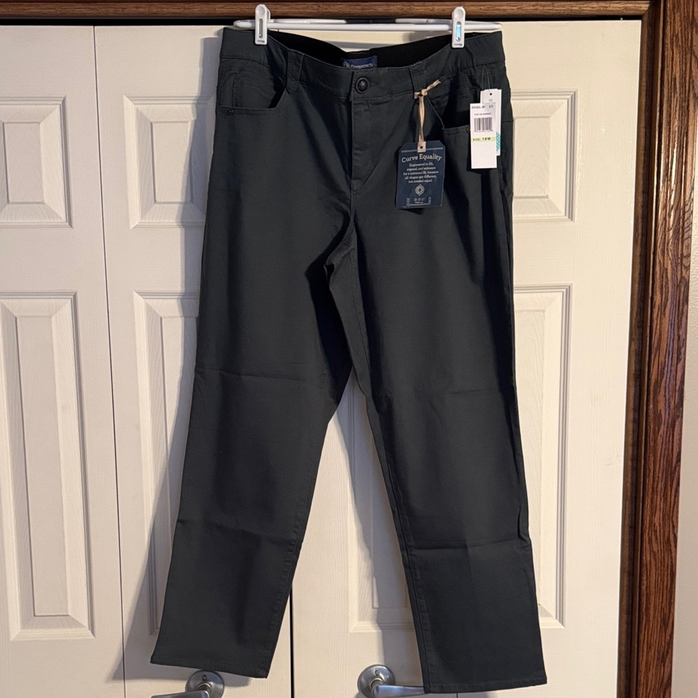 Democracy Gray-Green Chino Pants